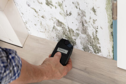 indianapolis mold inspection