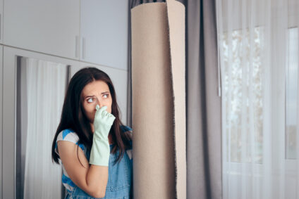 professional odor removal indianapolis
