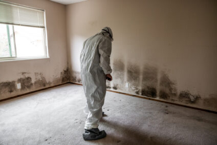 mold remediation indianapolis