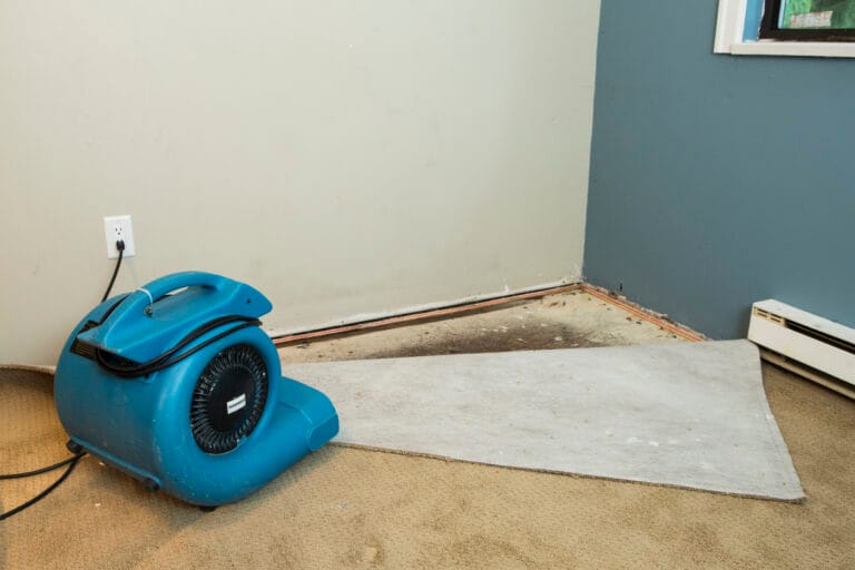 water mitigation company indianapolis